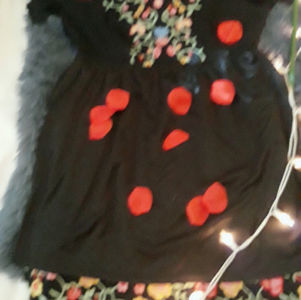 Dress - Picture 2 of 2